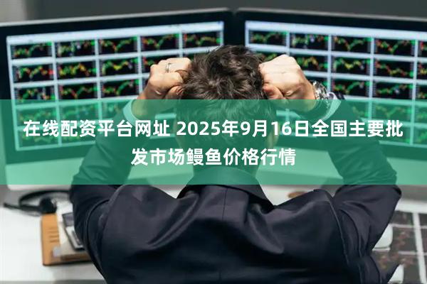 在线配资平台网址 2025年9月16日全国主要批发市场鳗鱼价格行情