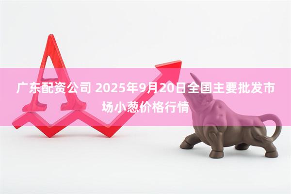 广东配资公司 2025年9月20日全国主要批发市场小葱价格行情