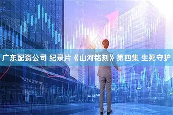广东配资公司 纪录片《山河铭刻》第四集 生死守护