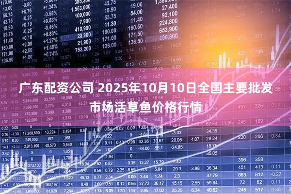 广东配资公司 2025年10月10日全国主要批发市场活草鱼价格行情
