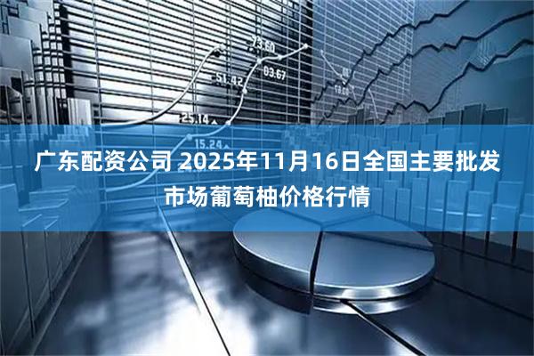 广东配资公司 2025年11月16日全国主要批发市场葡萄柚价格行情