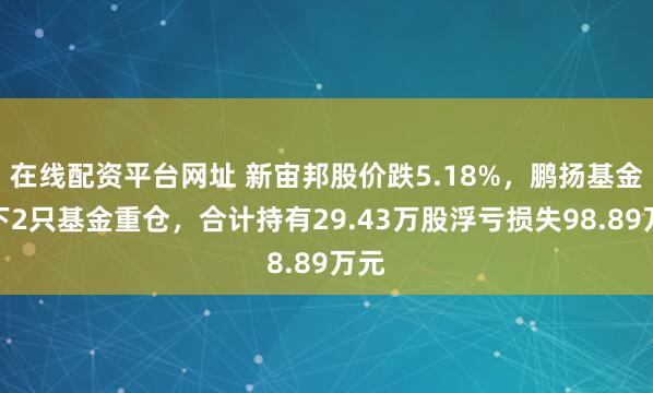 在线配资平台网址 新宙邦股价跌5.18%，鹏扬基金旗下2只基金重仓，合计持有29.43万股浮亏损失98.89万元